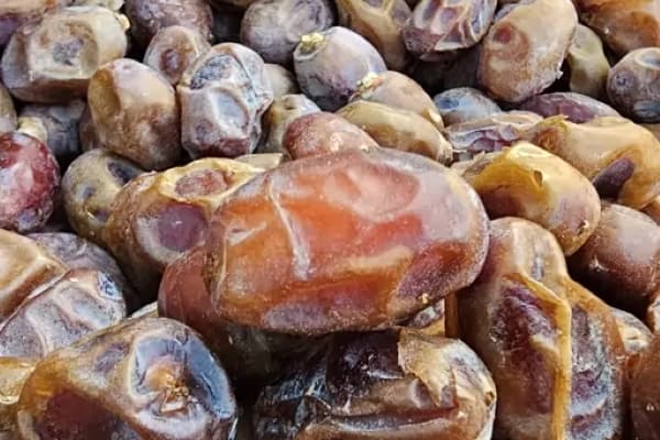 تصویر 1 از قیمت خرما هلیله خشک + خرید باور نکردنی